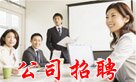 公司招聘